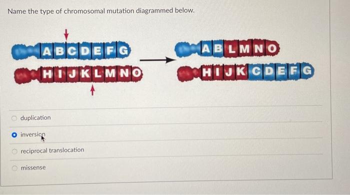 Solved Name the type of chromosomal mutation diagrammed | Chegg.com