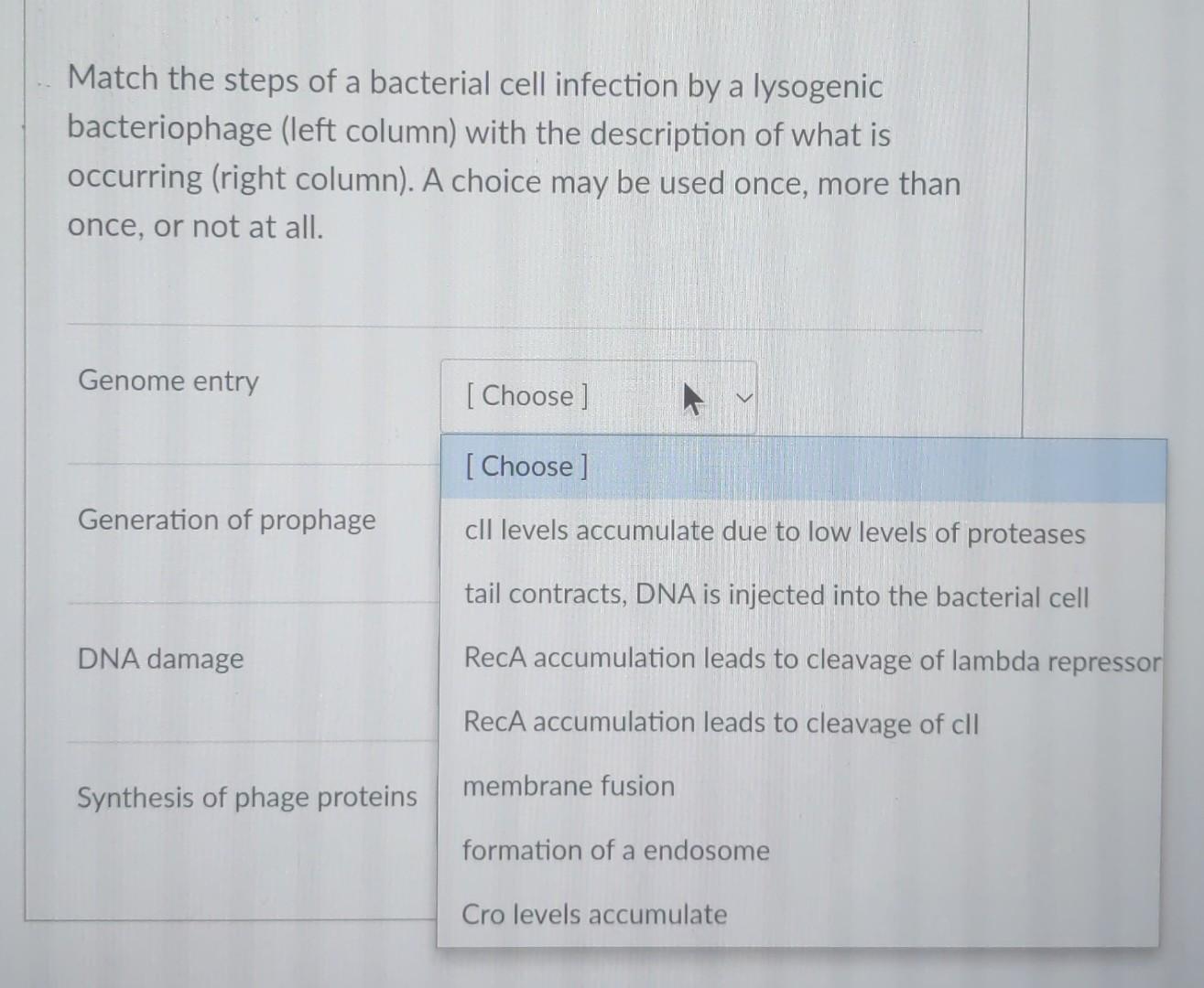 Solved Match the steps of a bacterial cell infection by a | Chegg.com