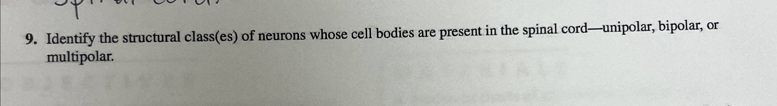 Solved Identify The Structural Class Es Of Neurons Whose Chegg Com