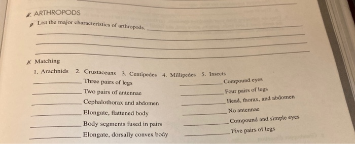 Solved: *. ARTHROPODS List The Major Characteristics Of Ar... | Chegg.com