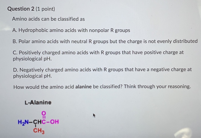 hydrophobic amino acids will do what