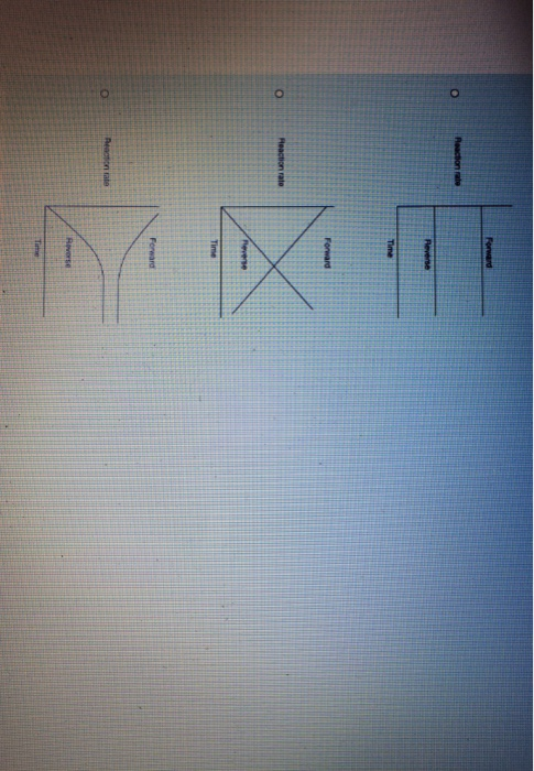 Solved Which of the following graphs best represents the | Chegg.com