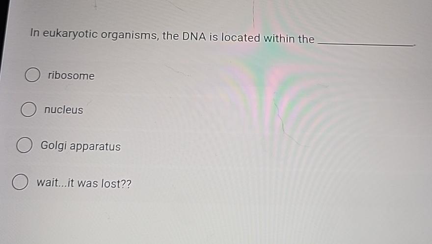 Solved In eukaryotic organisms, the DNA is located within | Chegg.com