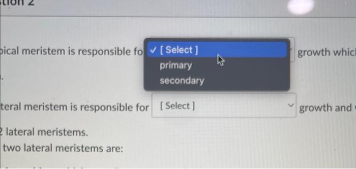 pical meristem is responsible fo growth whic
teral meristem is responsible for growth and lateral meristems. two lateral meri