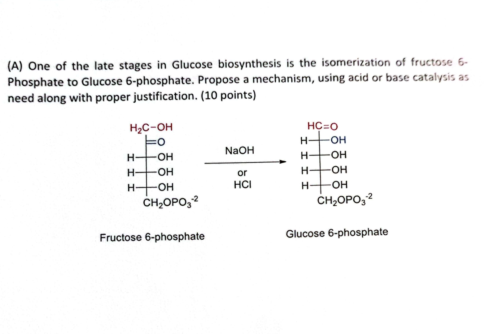 Solved (A) ﻿One of the late stages in Glucose biosynthesis | Chegg.com