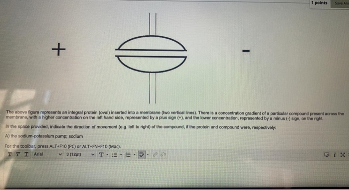 Solved 1 points Save Ans + D The above figure represents an | Chegg.com