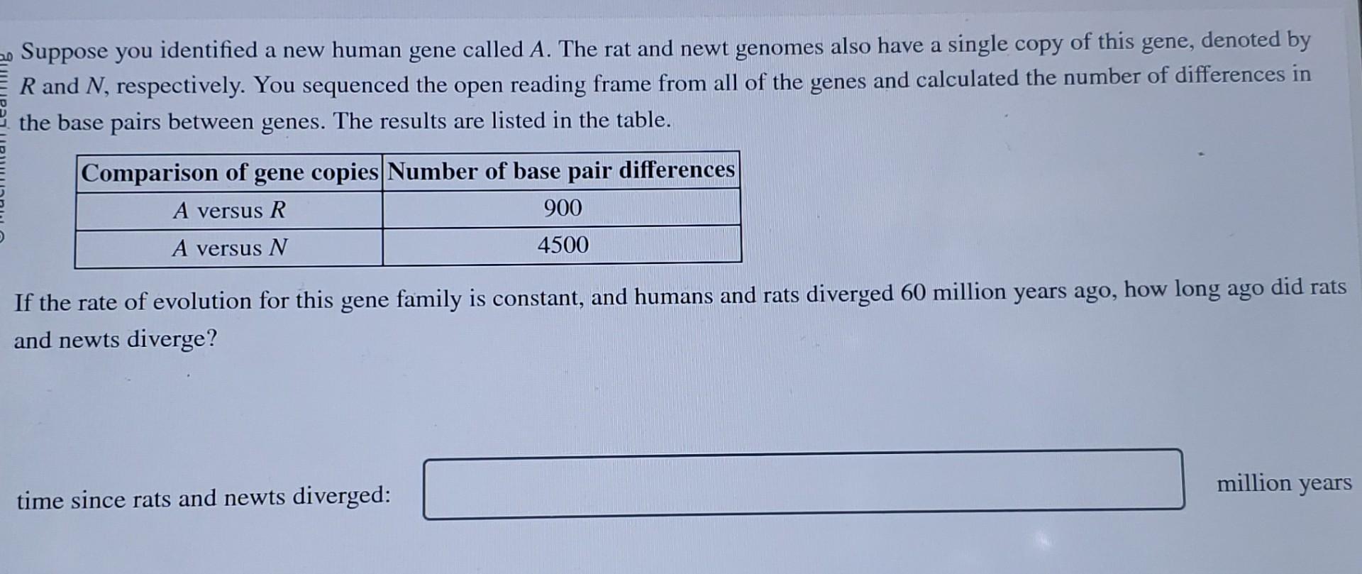 Rat Years to Human Years