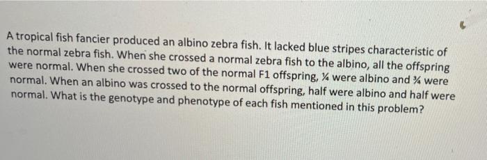 A tropical fish fancier produced an albino zebra fish. It lacked blue stripes characteristic of the normal zebra fish. When s