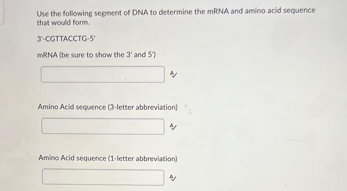 Solved Use the following segment of DNA to determine the | Chegg.com
