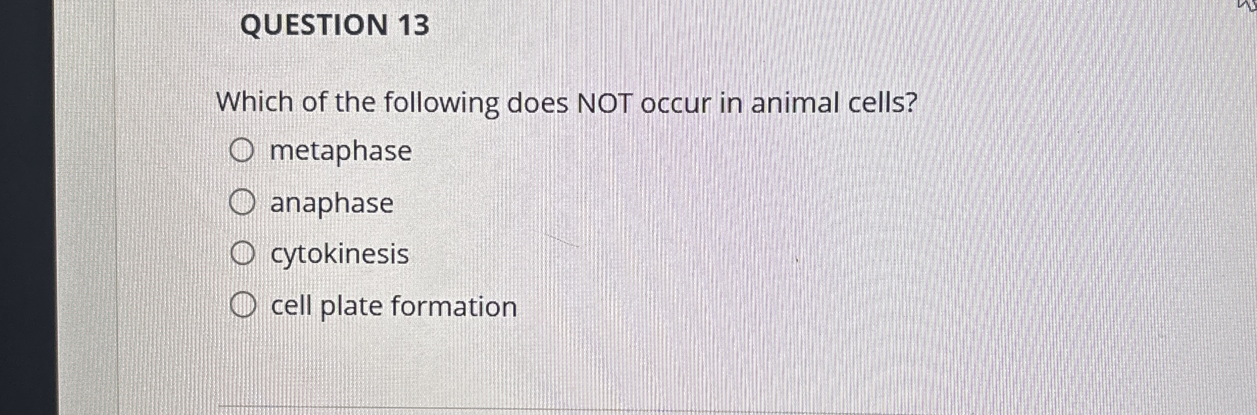 Solved Question 13which Of The Following Does Not Occur In 