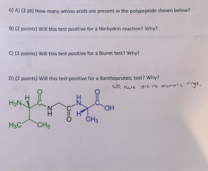 Solved 6) A) (2 pt) How many amino acids are present in the | Chegg.com