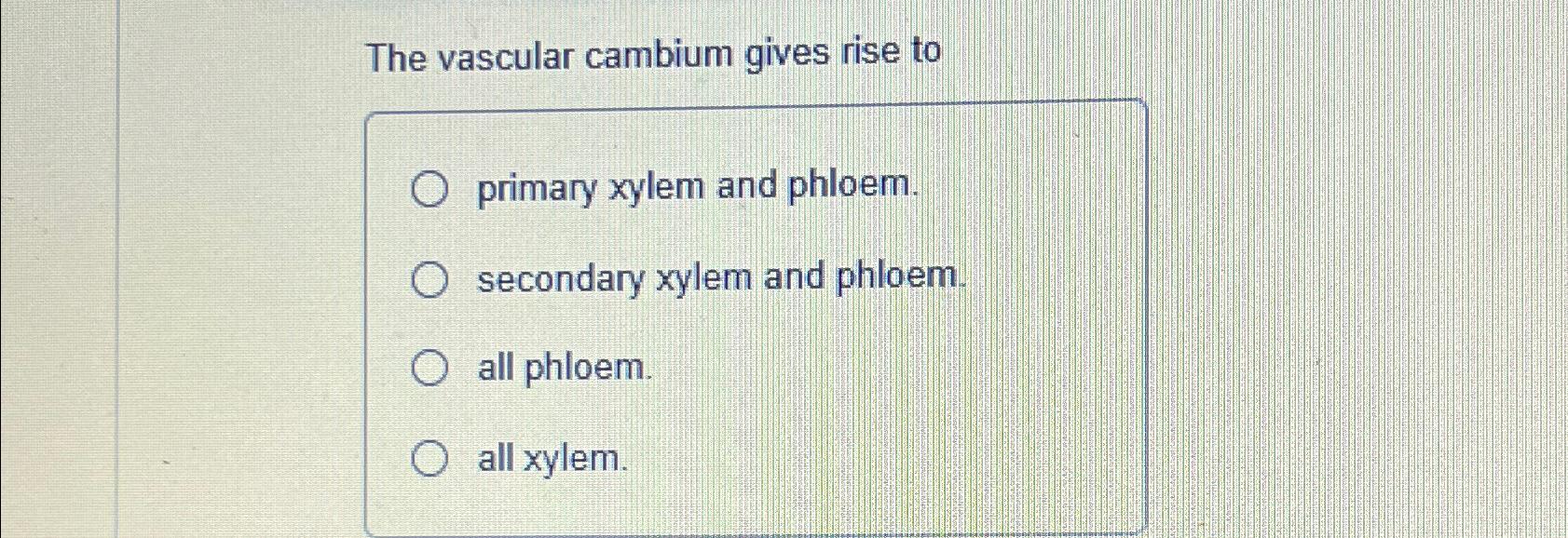 Solved The vascular cambium gives rise toprimary xylem and