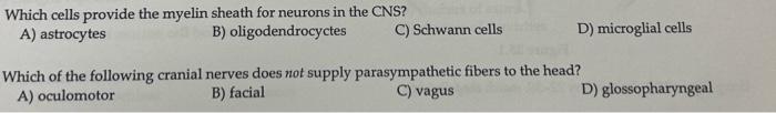 Which cells provide the myelin sheath for neurons in | Chegg.com