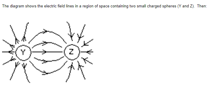 Solved The diagram shows the electric field lines in a | Chegg.com