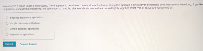 Solved You observe a tissue under a microscope. There | Chegg.com