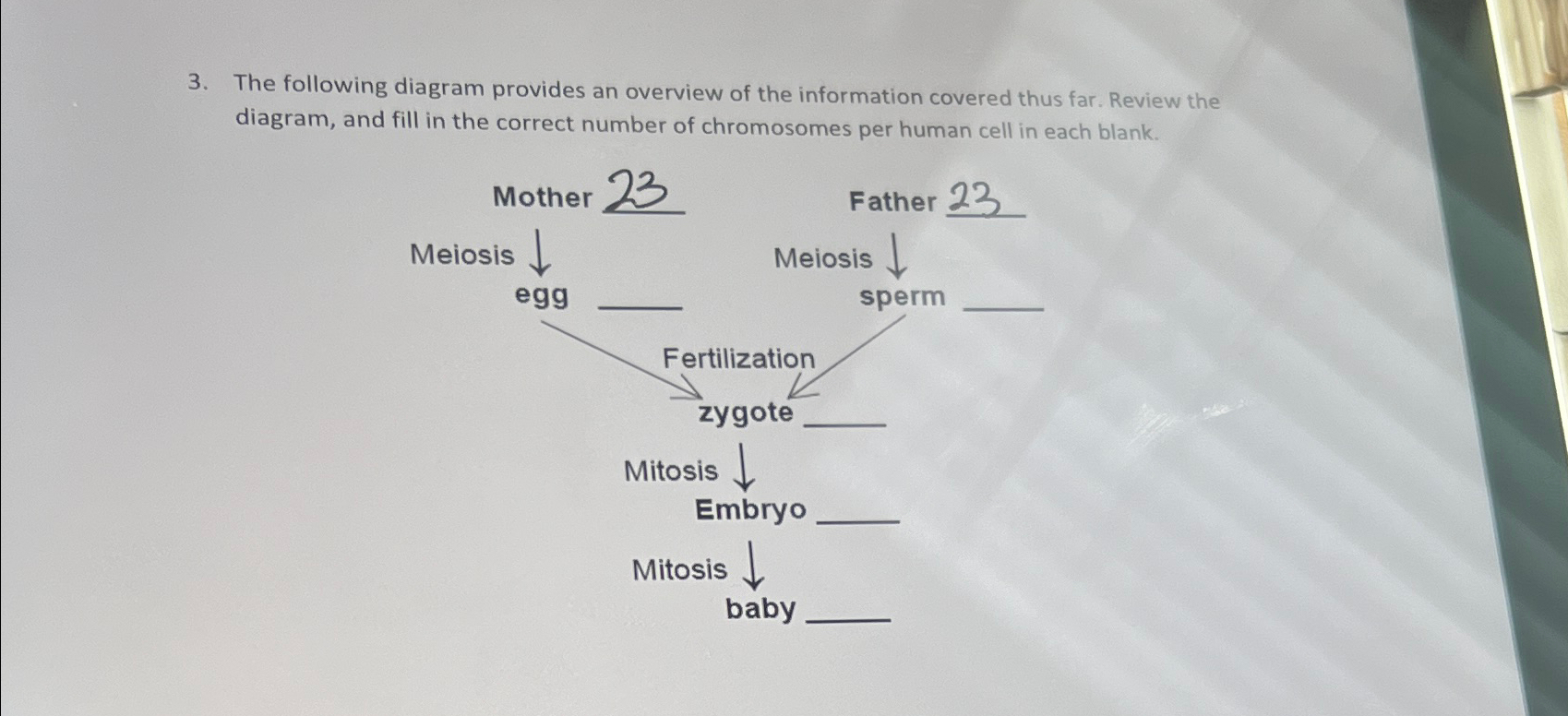 Solved The following diagram provides an overview of the | Chegg.com