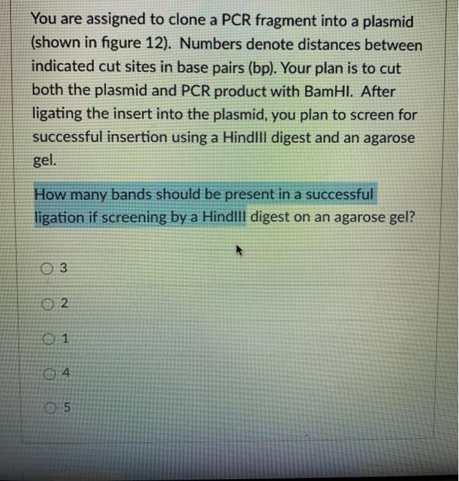 Solved You are assigned to clone a PCR fragment into a | Chegg.com