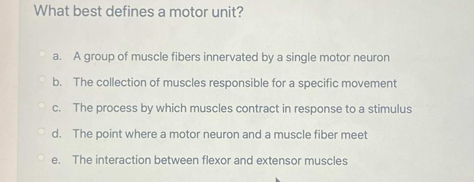 solved-what-best-defines-a-motor-unit-a-a-group-of-muscle-chegg