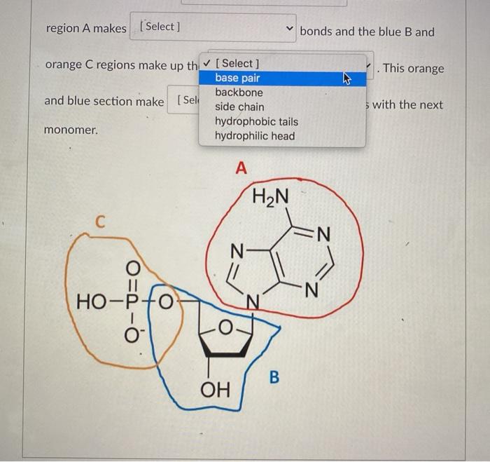 Solved This diagram illustrates a [ Select] where the red | Chegg.com