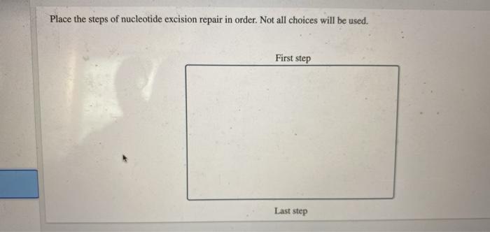Solved Place the steps of nucleotide excision repair in | Chegg.com