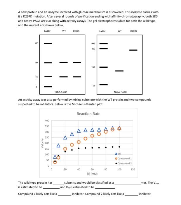 Solved FILL IN THE BLANKS A new protein and in isozene | Chegg.com