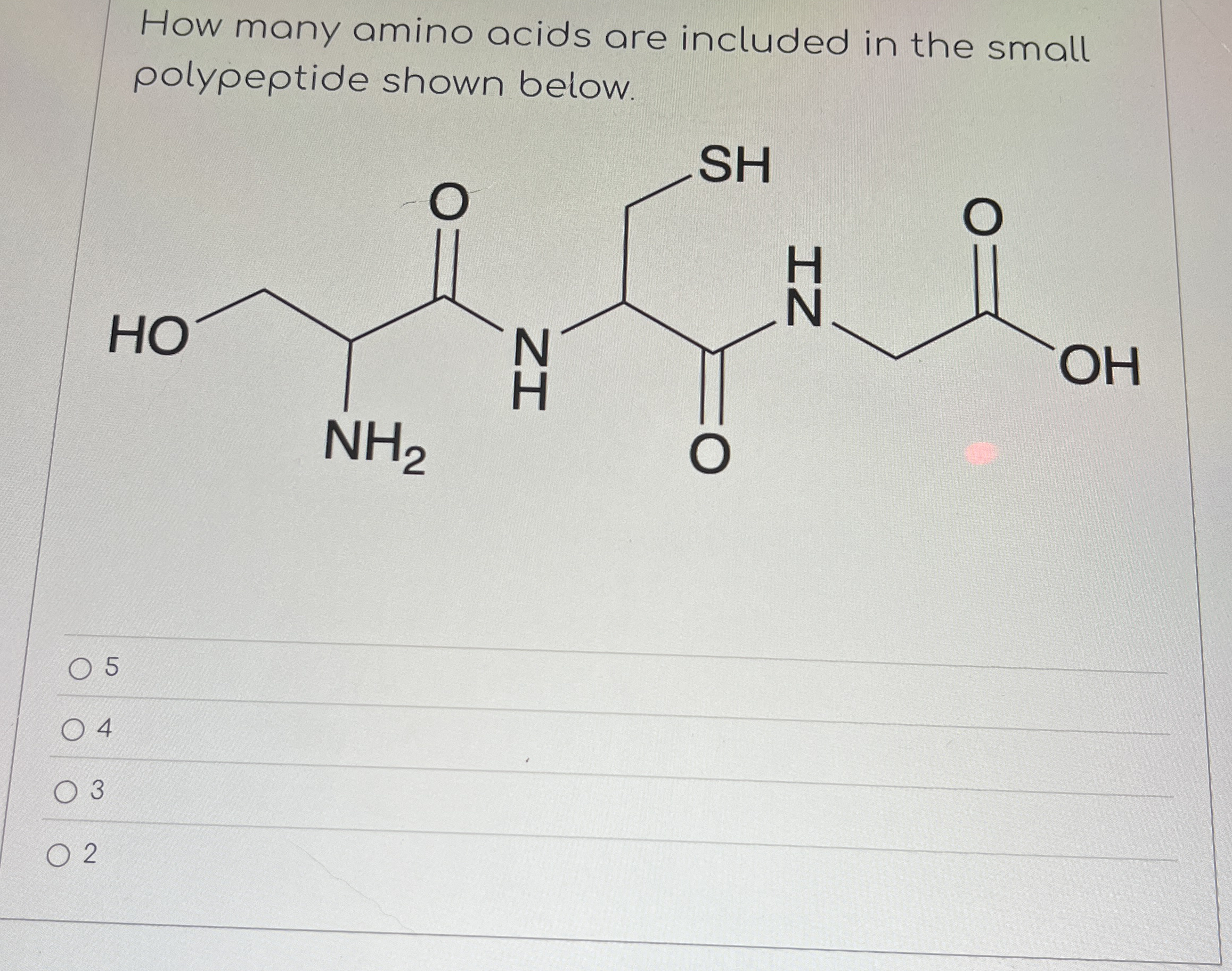 How many amino acids are included in the small | Chegg.com