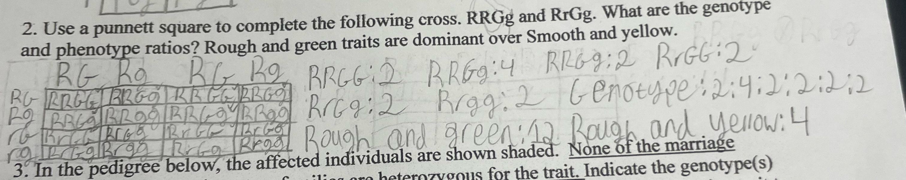 Solved Can someone help me with this. Use a punnet square to | Chegg.com