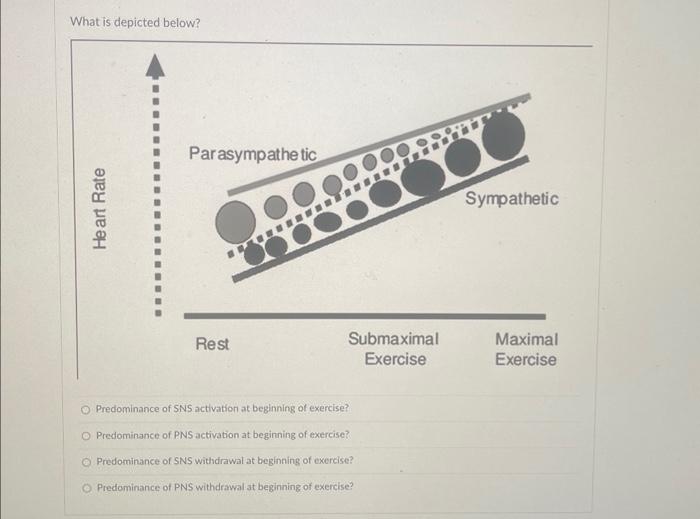 Solved What is depicted below? Predominance of SNS | Chegg.com