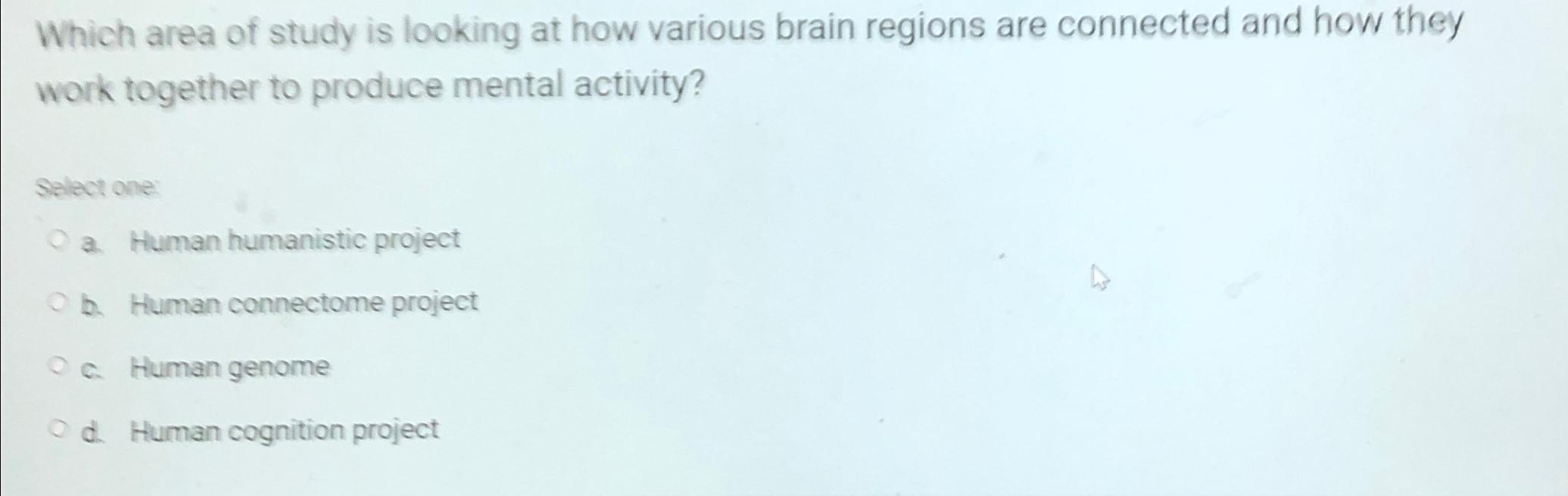 Is Your Brains Map Always Changing New Study Provides Surprising Answers - xcyd42n
