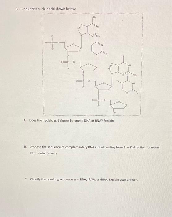 Solved 3. Consider a nucleic acid shown below: A. Does the | Chegg.com