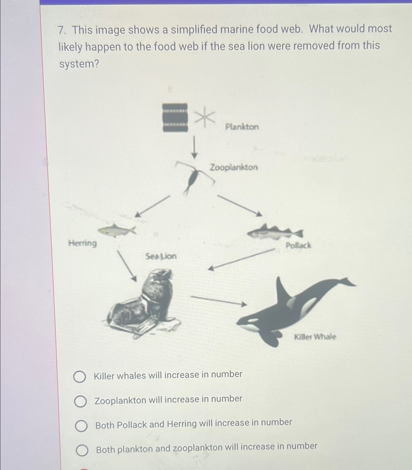 Solved This image shows a simplified marine food web. What | Chegg.com