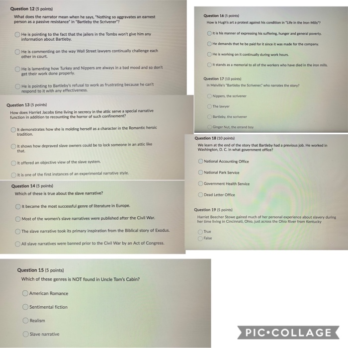 Question 12 (5 Points) What Does The Narrator Mean...