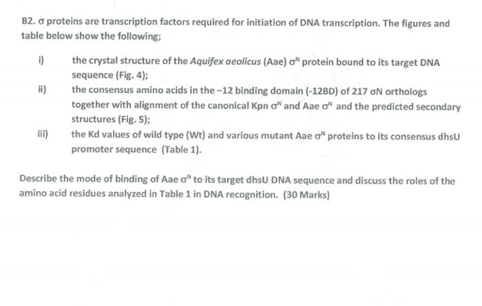Solved B2. O proteins are transcription factors required for | Chegg.com