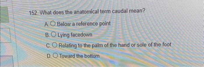 Solved 152. What does the anatomical term caudal mean? A. | Chegg.com