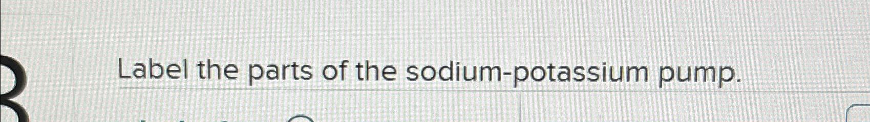 Solved Label the parts of the sodium-potassium pump. | Chegg.com