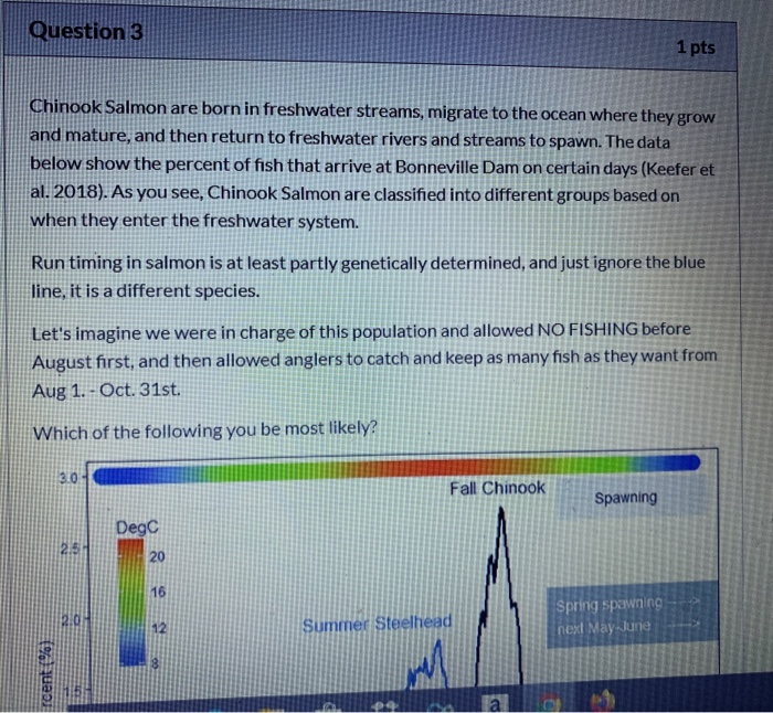 when does a chinook mature