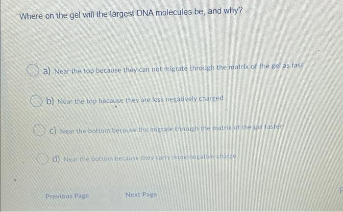 where-on-the-gel-will-the-largest-dna-molecules-be-and-why-a-near-the