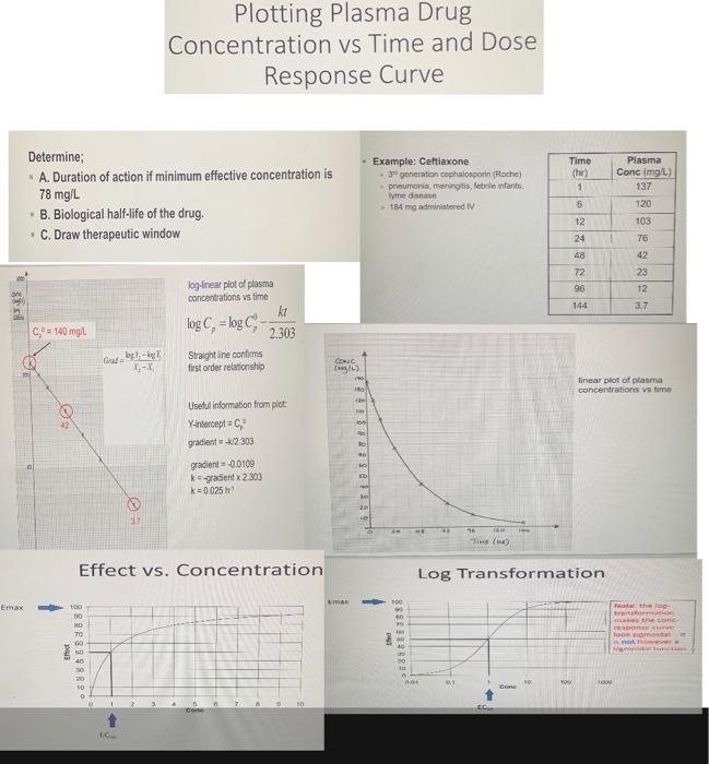 Solved Plotting Plasma Drug Concentration vs Time and Dose | Chegg.com