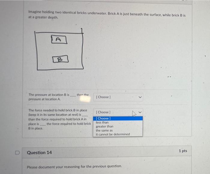 Solved Imagine holding two identical bricks underwater.