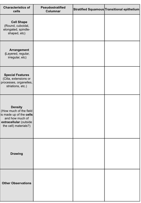 Solved Characteristics of cells Pseudostratified Columnar | Chegg.com