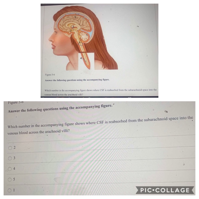 Figure 5-6 Answer the following questions using the | Chegg.com