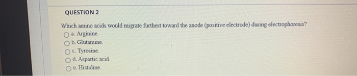 Solved QUESTION 2 Which amino acids would migrate furthest | Chegg.com