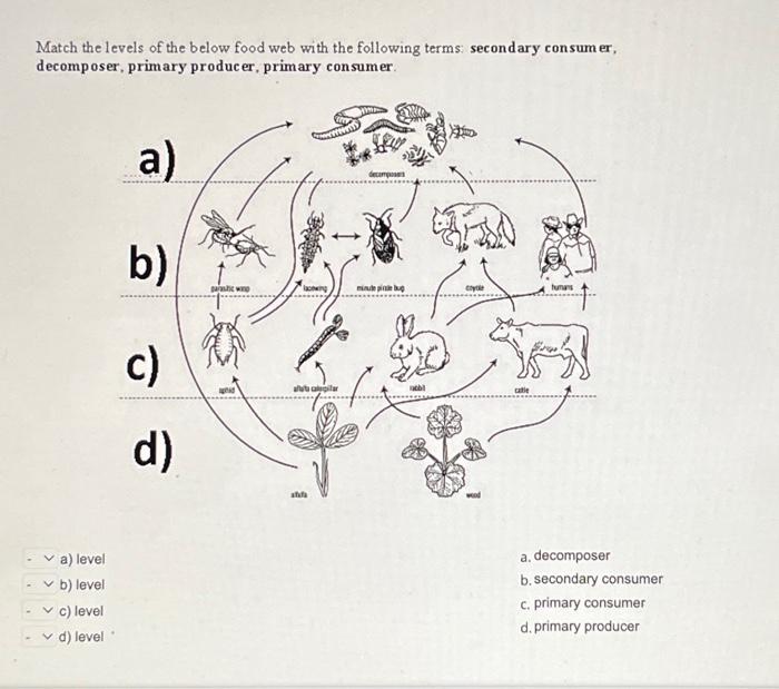 Solved Match the levels of the below food web with the | Chegg.com