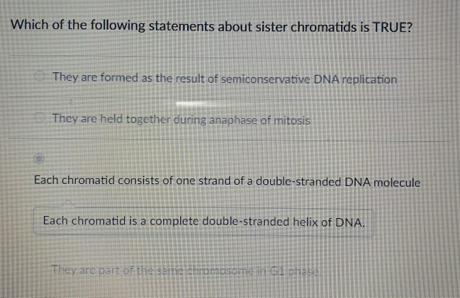 Solved Which Of The Following Statements About Sister | Chegg.com Solved Which Of The Following Statements About Sister | Chegg.com