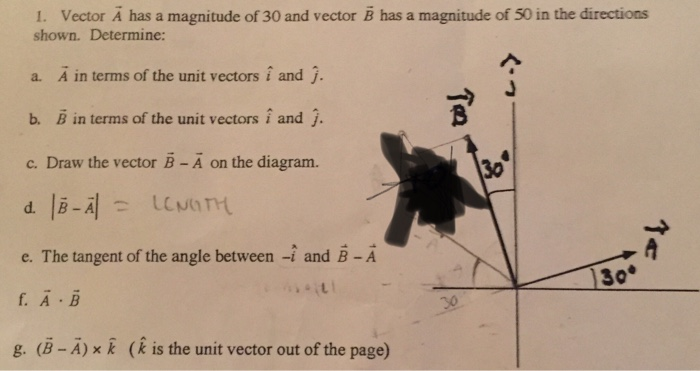 Solved 1 Vector A Has A Magnitude Of 30 And Vector B Has Chegg Com