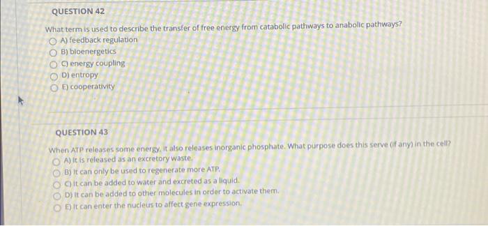 solved-question-42-what-term-is-used-to-describe-the-chegg