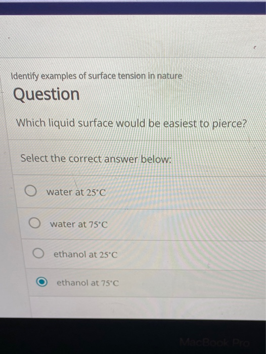 Solved Identify examples of surface tension in nature