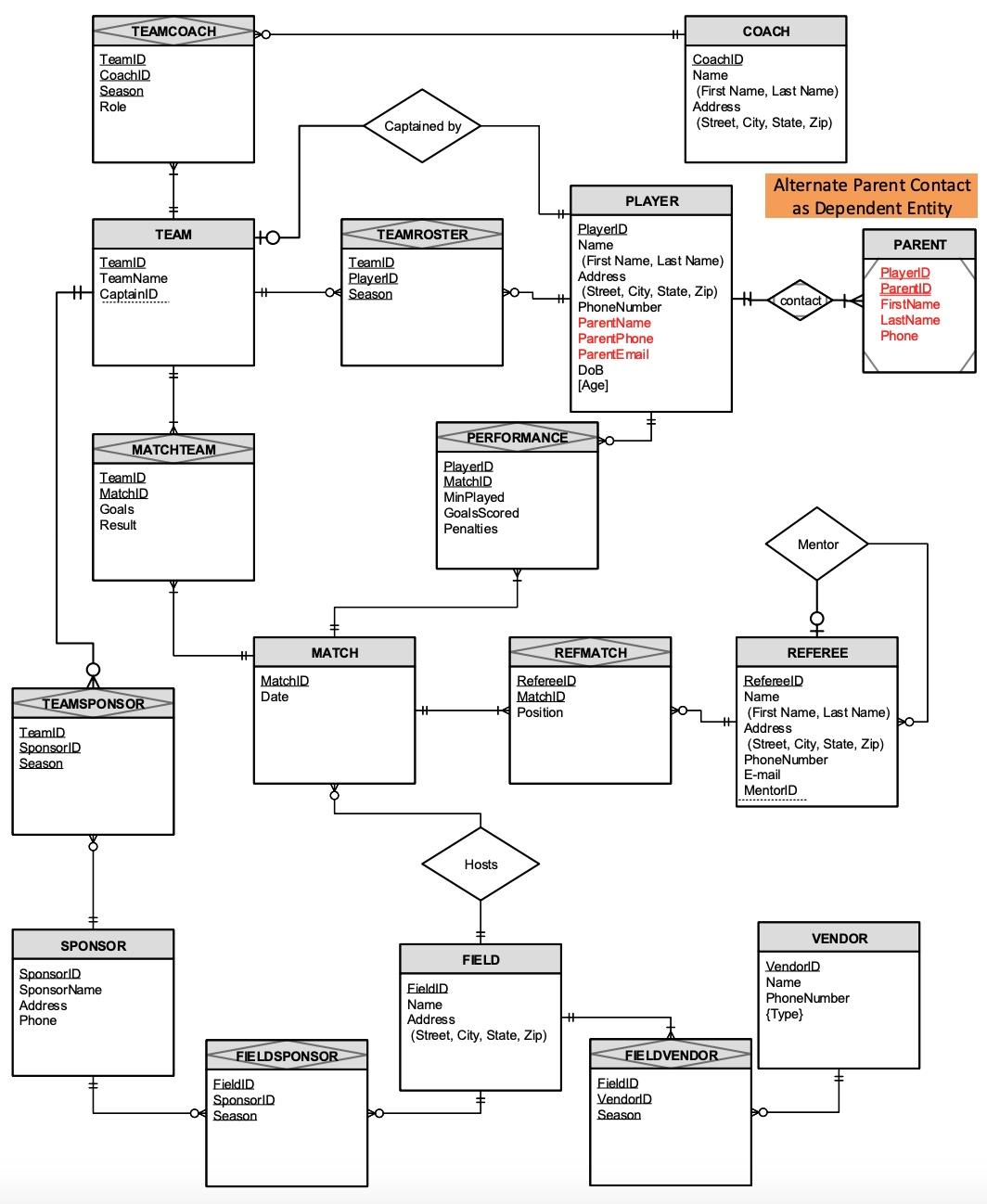 Solved create a relational schema using this entity | Chegg.com