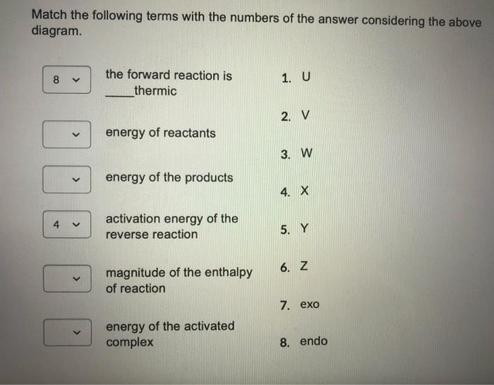 Solved Which of the following graphs is represented of the | Chegg.com