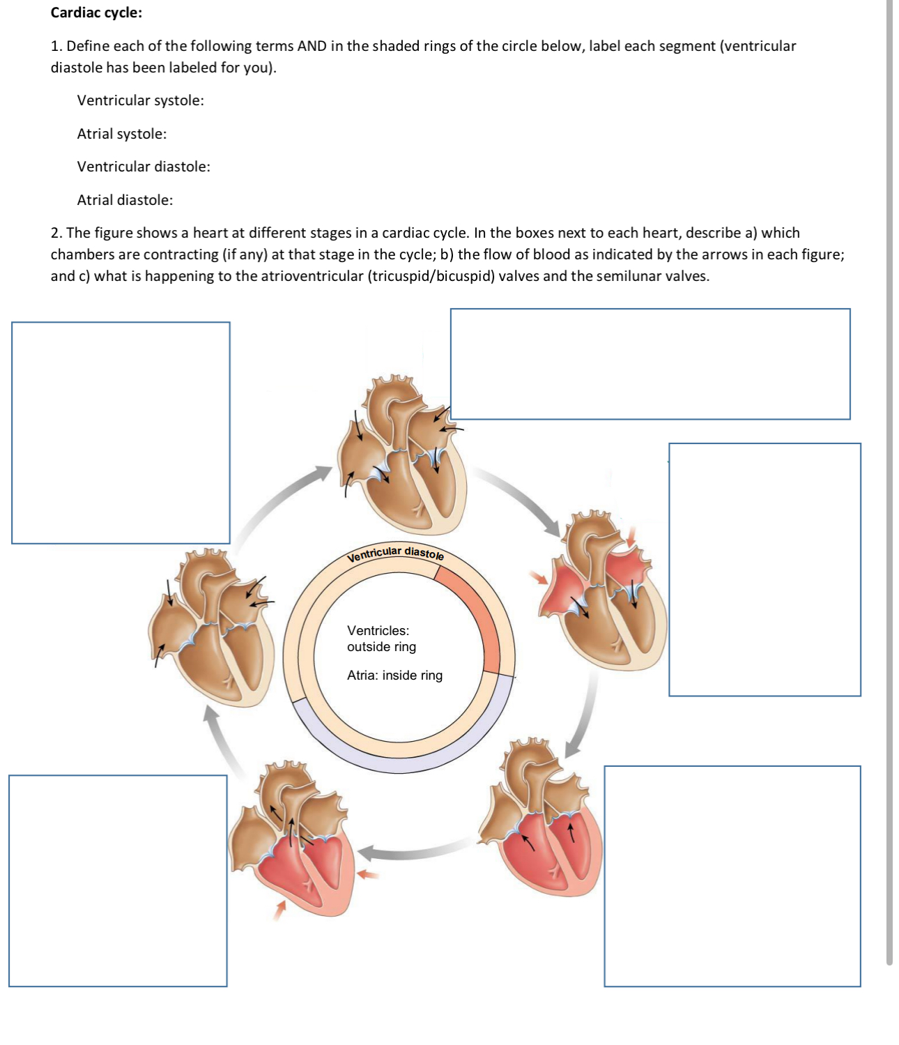 Cardiac cycle:Define each of the following terms AND | Chegg.com